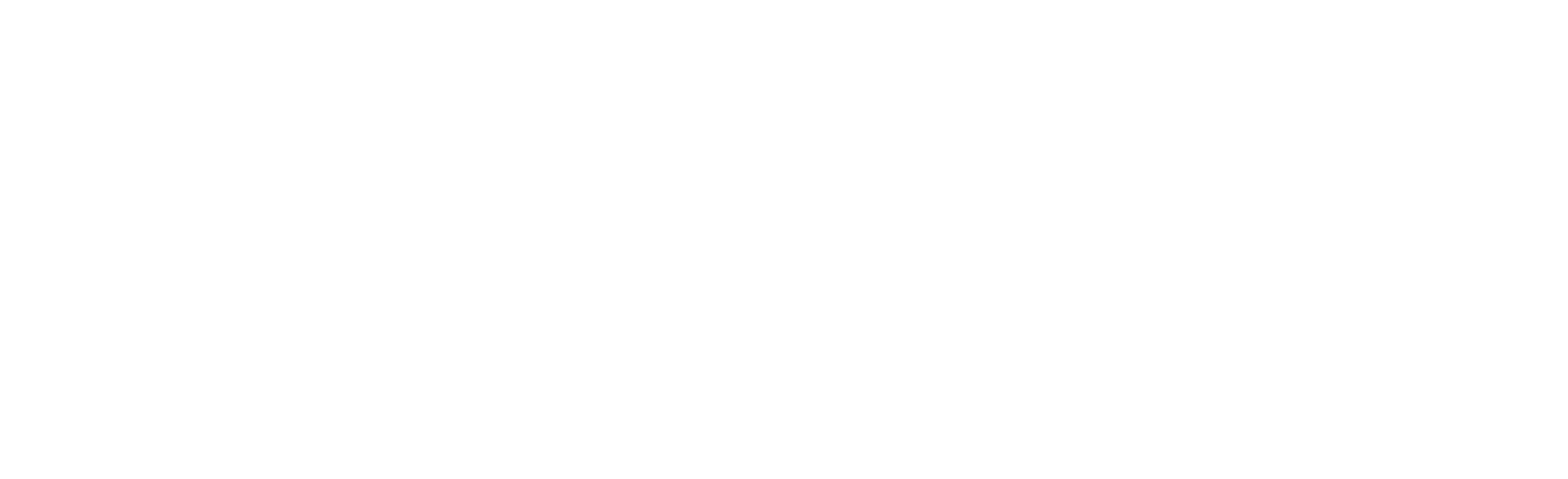 Logo Projecter